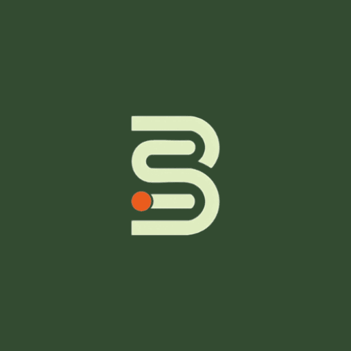 IBS Consulting logo